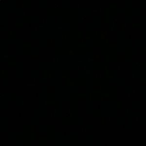 Meet your Posher, Hector